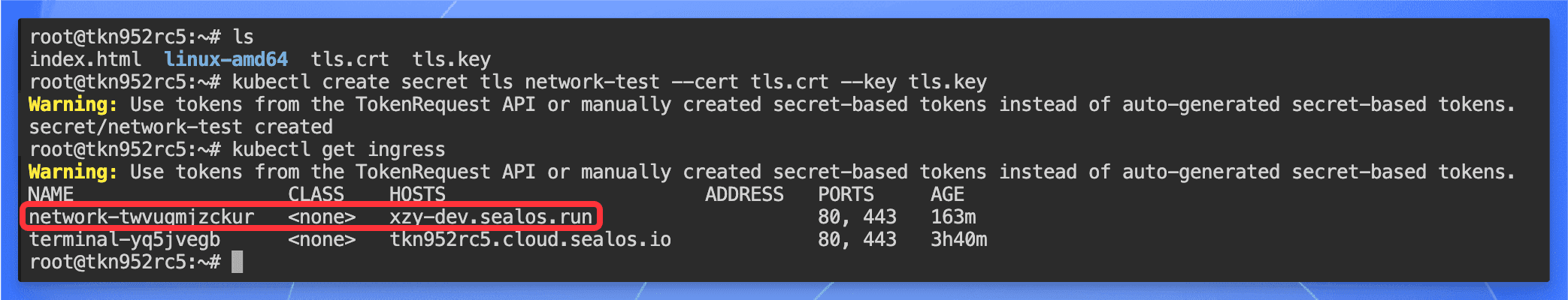 Sealos 创建 TLS Secret 界面